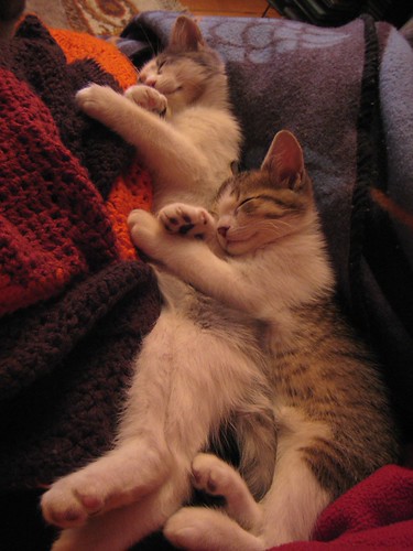 awww