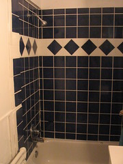 bathroom renovation 1