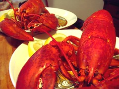 lobsters