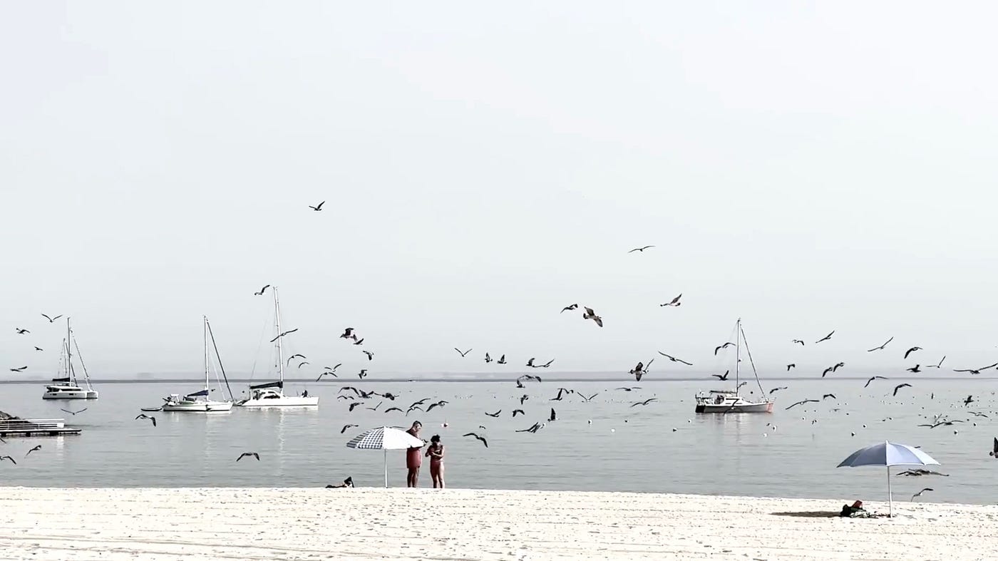 A mostly monochrome picture of Sesimbra Beach, Portugal. Lots of birds flying around.