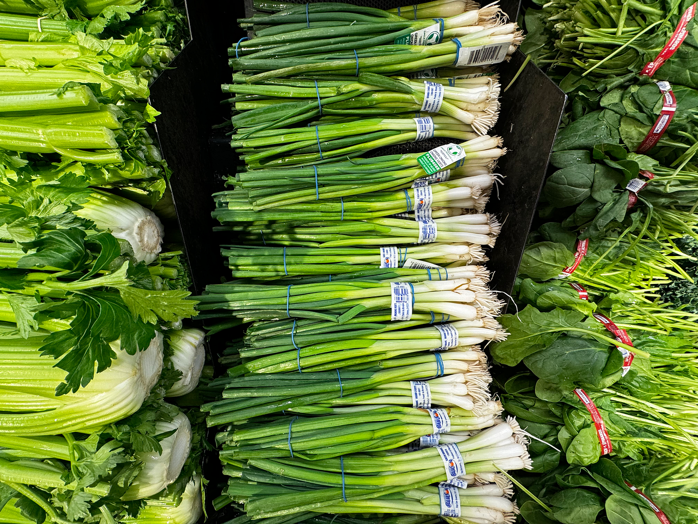 Green onions on display at a typical Canadian grocery store